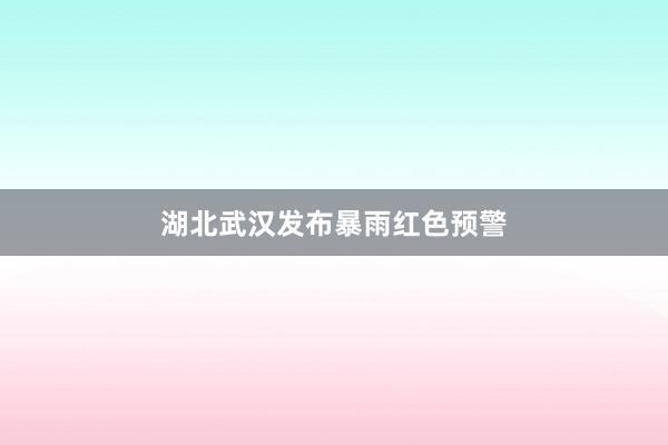 湖北武汉发布暴雨红色预警
